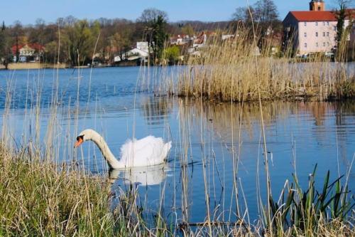 Strandhotel Vier Jahreszeiten Buckow