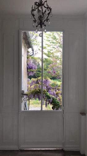 Studio with Garden View