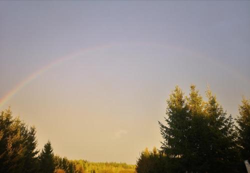 Domki Zielony Winiec - Mazury