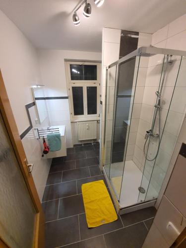 Zentrale 2 Zimmer EG Wohnung mit Balkon, Leipzig (photo 6)