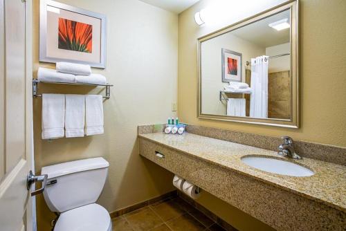 Holiday Inn Express & Suites Indianapolis North - Carmel, an IHG Hotel