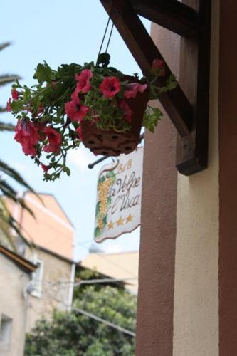 La Volpe E L'Uva B&B