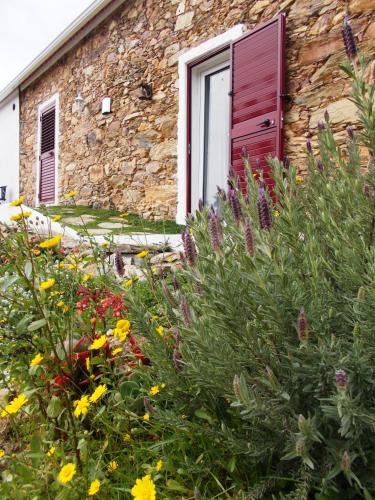  Casas de Campo de Vale de Junco, Envendos bei Vale de Urso