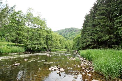 Gasthaus Pension Geimer