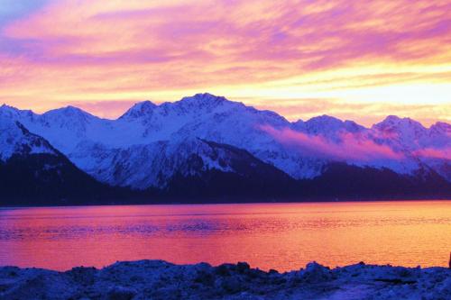 Arctic Paradise B&B