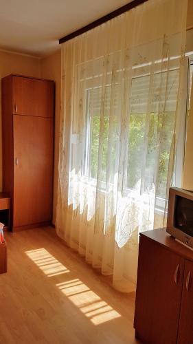 One-Bedroom Apartment image 10
