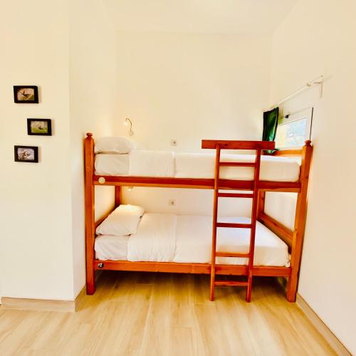 Oasis Backpackers Hostel Sintra Surf - image 4
