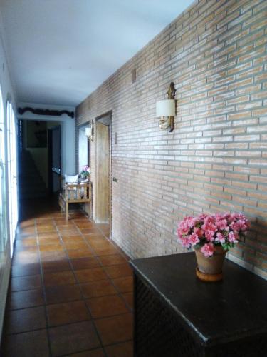 Hostal Restaurante Pacos in 埃雷拉德爾杜克