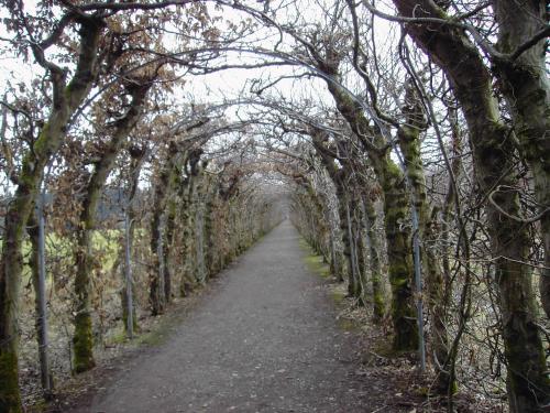 Gîte des Cours à La Reid - image 4