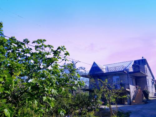 53 jincharadze street Makhinjauri, Batumi