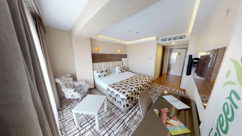 Green Prusa Hotel - image 10
