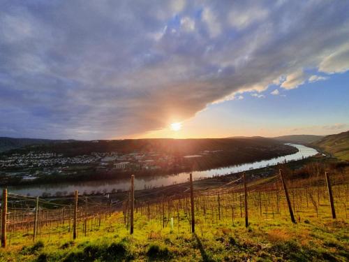 Apartment an der Mosel 1