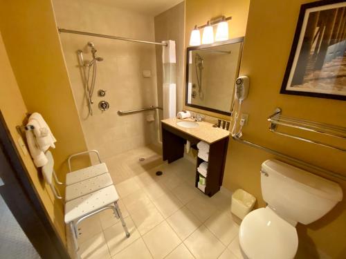 King Room with Roll-In Shower - Mobility/Hearing Accessible - Non-Smoking