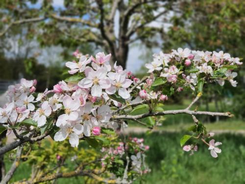 Ferienwohnungen Sund Ostfriesland