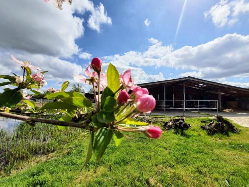 Ferienwohnungen Sund Ostfriesland