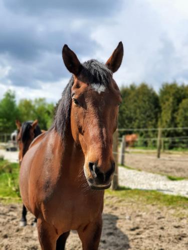 Ferienwohnungen Sund Ostfriesland