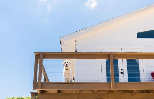 Bright New Beach House -- 2 blocks to beach! - image 32