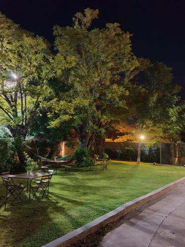 정원, La Maison Gerber in 리오 콜로라도