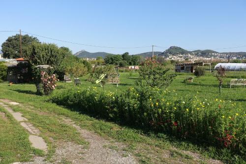 Gîte du Pagoulin - Gîte - image 3