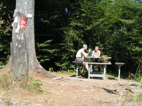 Bed And Breakfast Isidorus