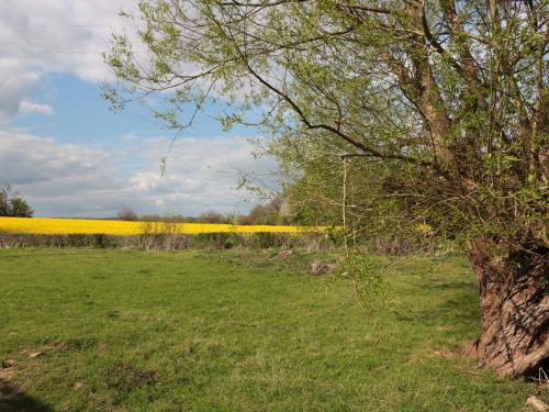 Granary 2 Hereford - image 13