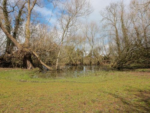 Granary 2 Hereford - image 10