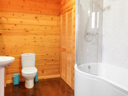 Holly Lodge Bodmin - image 9