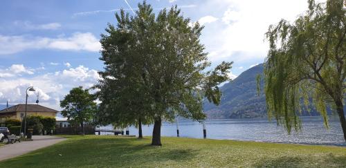 LA MAGNOLIA By La casa sul Sasso - image 2