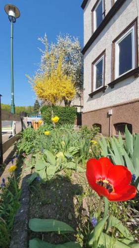 FeWo Schone Aussicht, 70qm, 3 Zimmer, große Wohnkuche, Bad, WLAN, Smart TV, kontaktloser Check-in