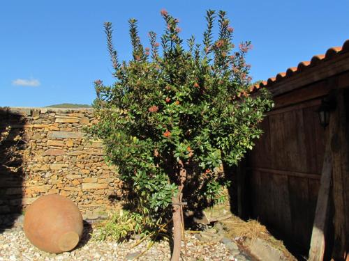 Apartamentos Rurales Azabal