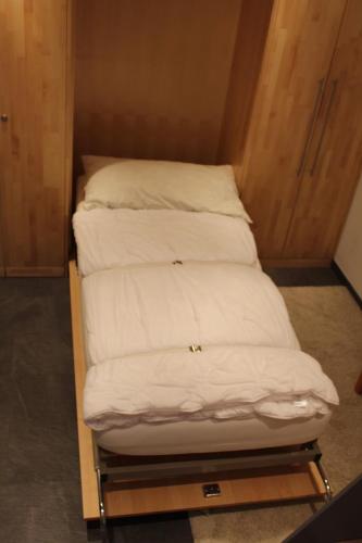 Chalet Gädi, Zermatt (foto 10)