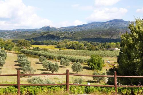 Holiday home with exclusive swimming pool in the Tuscan Maremma