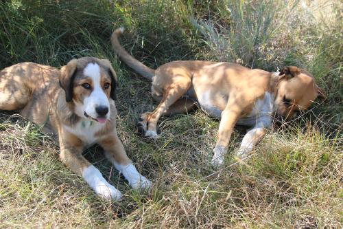 Donkerhoek Country Living photo 1