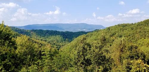 A Piece of Heaven cabin w mountain views, 3 levels, mountain views, game room, free ticket, Wi-fi in Sevierville, USA