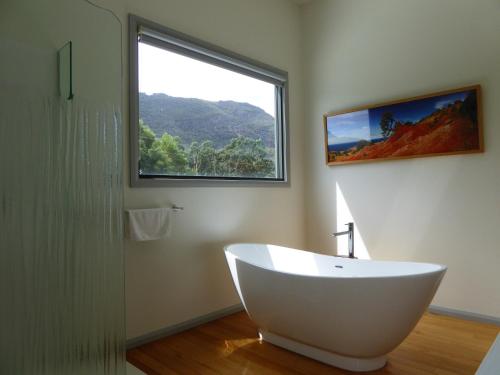 Dacelo, Halls Gap (fotografie 3)
