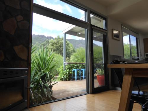 Dacelo, Halls Gap (fotografie 8)
