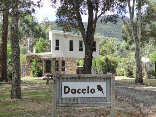 Dacelo, Halls Gap (fotografie 10)