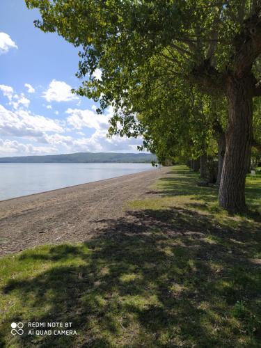 Bolsena Holiday House 3