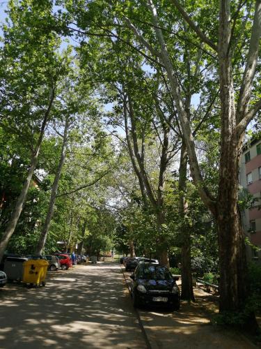 Apartman Pero - image 14