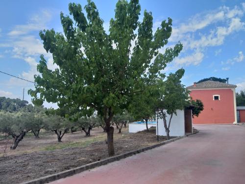 Casita Roja. Alójate en la Sierra de Mariola.