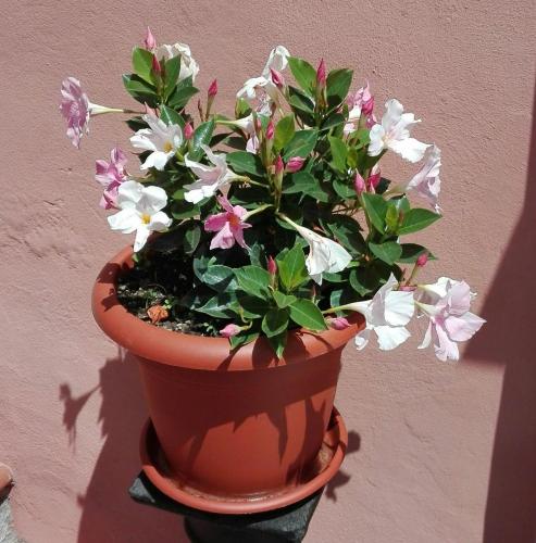  Casa Ofelia in Levanto