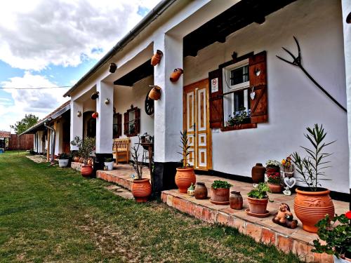 Bakonyi Kis-Lak