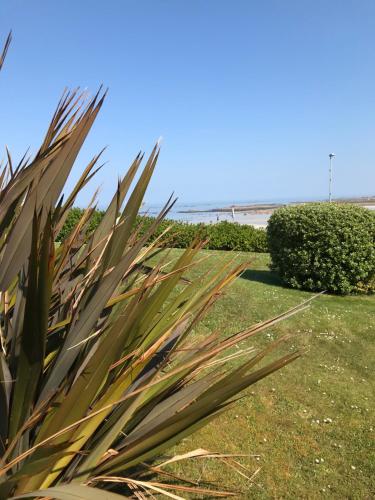 Rez de jardin avec piscine, vue directe sur la plage à 40 m