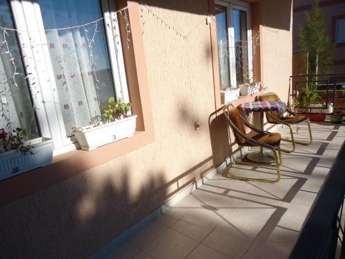 Balcony/terrace, Apartments Villa Micunovic in Savina Monastery
