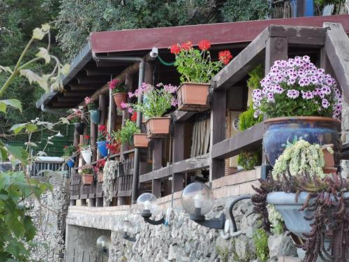 Casa Vacanze Morselli 2