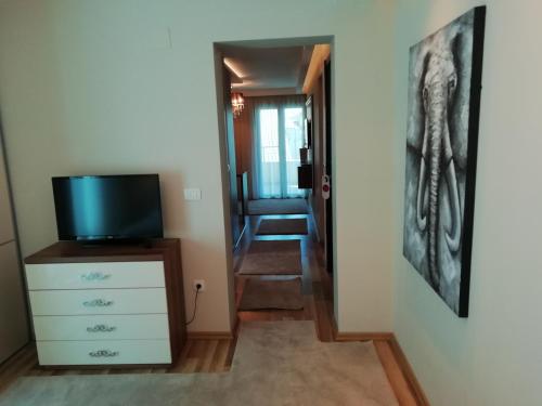 Apartments and Rooms Grand Palazzo - image 8