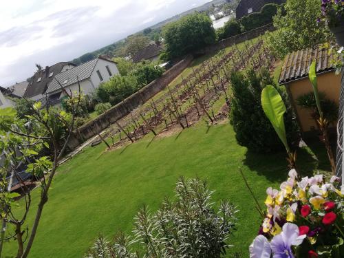 Bed and Breakfast - Rheingauer Hof – Östrich-Winkel, MO