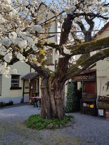 Ferienwohnung Zum-alten-Kirschbaum in Limburg an der Lahn, Deutschland