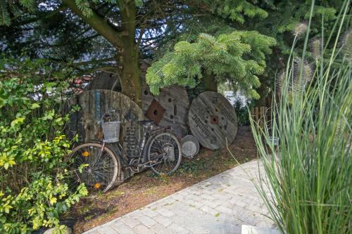 Komfort Ferienhaus Polly - image 6