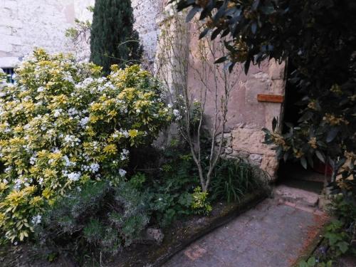 Le Gîte des Marguerites